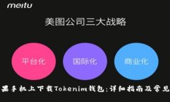 如何在苹果手机上下载T
